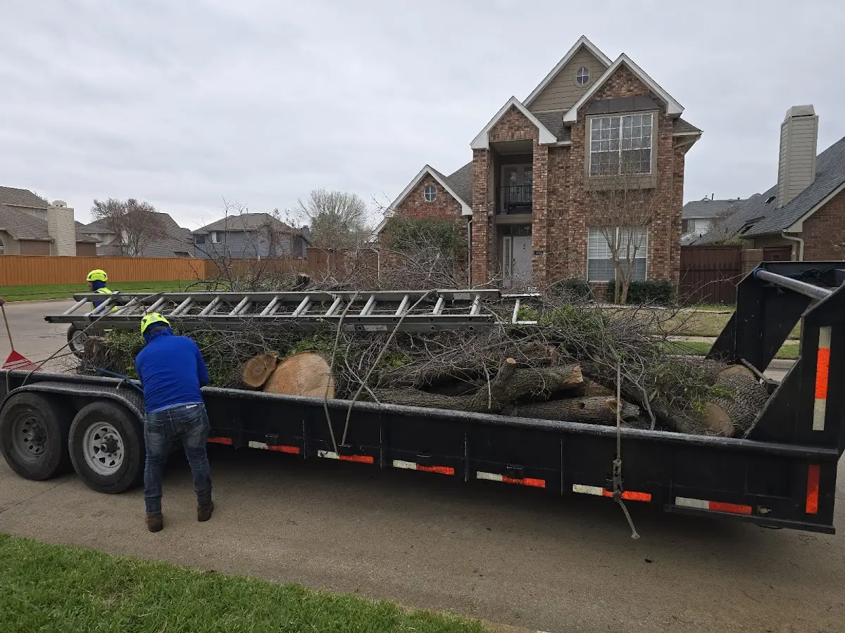 Expert Tree Fertilization with proper safety equipment in Shushan